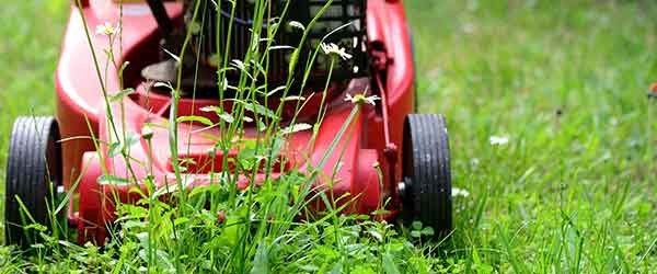 A lawn mower cutting taller grass