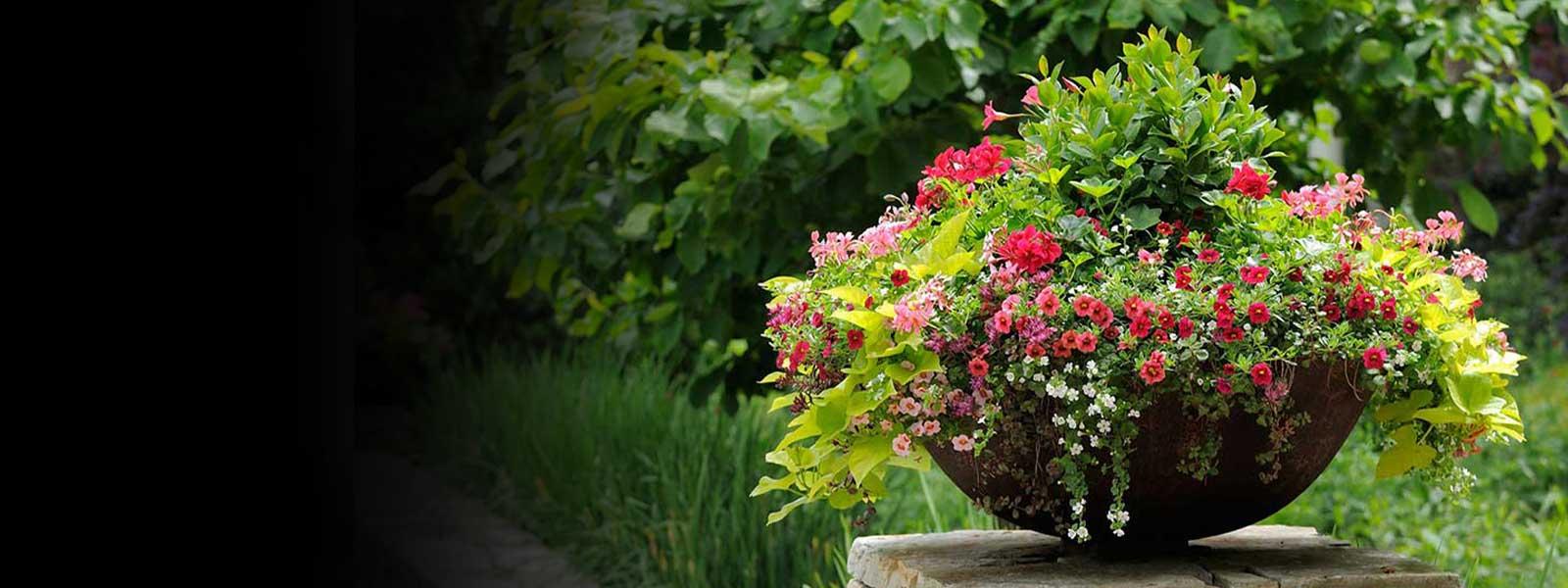 Earl May Garden Centers Lawn & Garden Experts