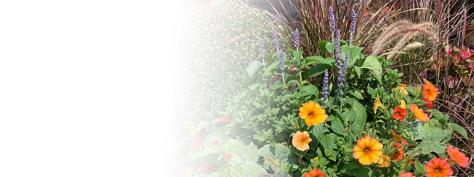 Earl May Garden Centers Lawn & Garden Experts