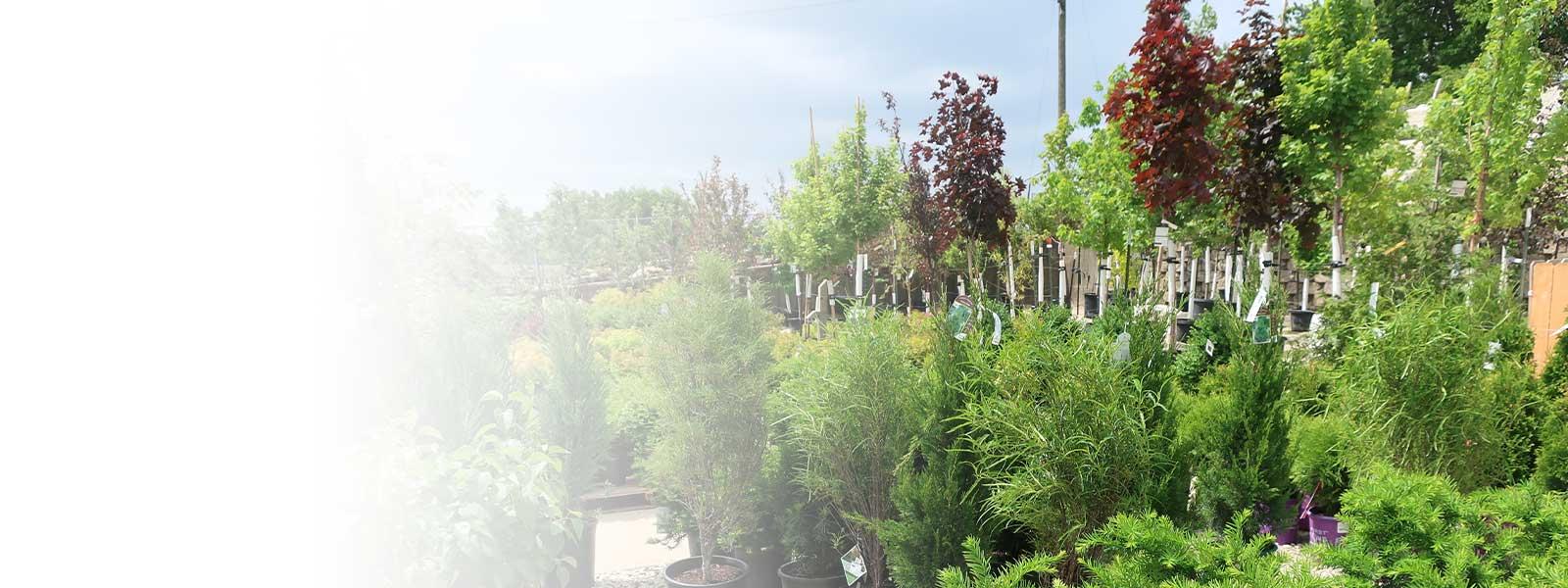 Earl May Garden Centers Lawn & Garden Experts