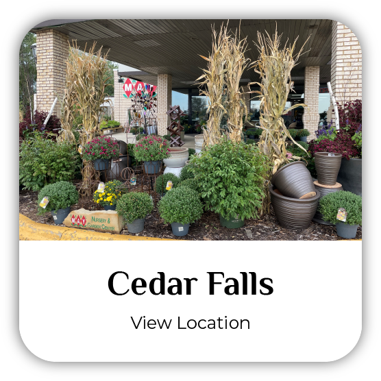 Earl May Cedar Falls
