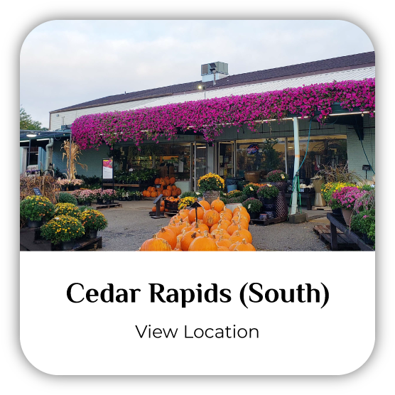 South Cedar Rapids, Iowa, Earl May Garden Center storefront.