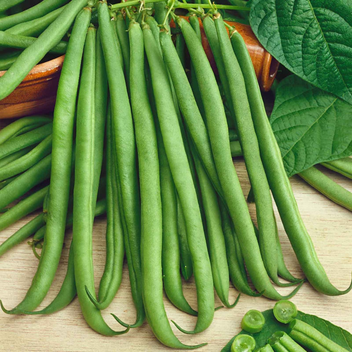 Topcrop Beans