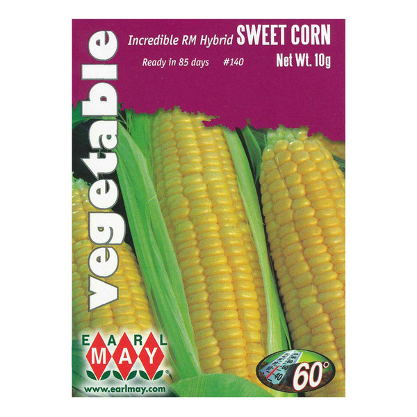 RM Hybrid Corn Seeds | Golden Yellow Sweet Corn | Earl May