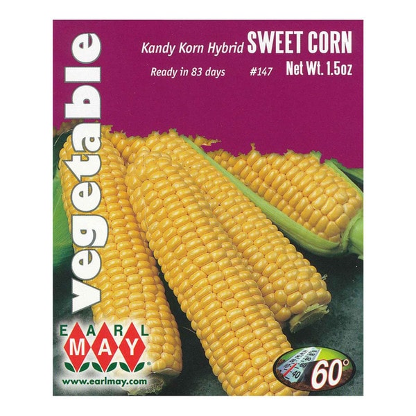 Kandy Korn Hybrid Corn Seeds | Sweet & Sturdy | Earl May