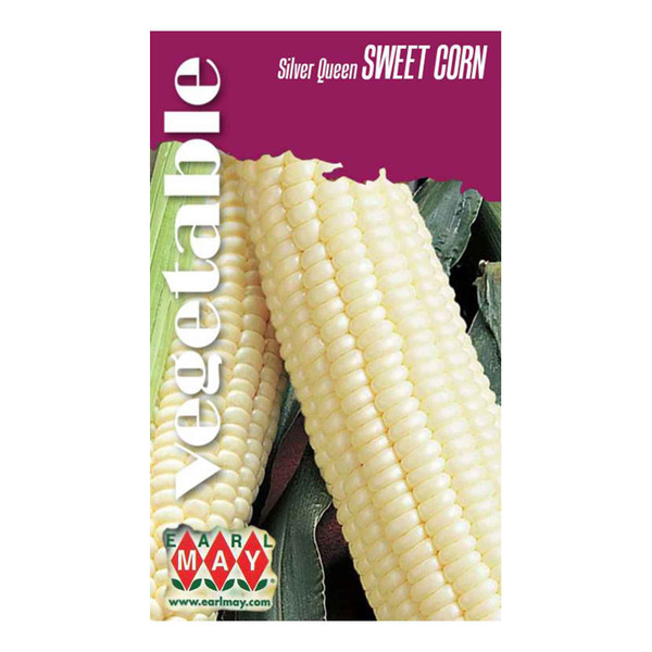 Corn - Silver Queen Seeds