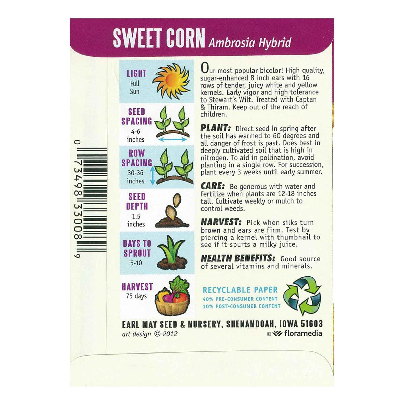Maxboba Ambrosia Hybrid Corn Seeds - Non-GMO, Heirloom - Sweet Yellow Kernels For Summer Planting