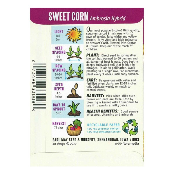 Ambrosia Hybrid Corn Seeds | Earl May