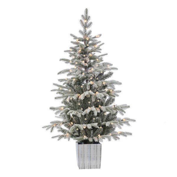 4.5ft Natural Cut Potted Iceland Fir Christmas Tree Earl May