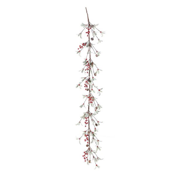 Garland 5ft. Frosted Mistletoe Earl May