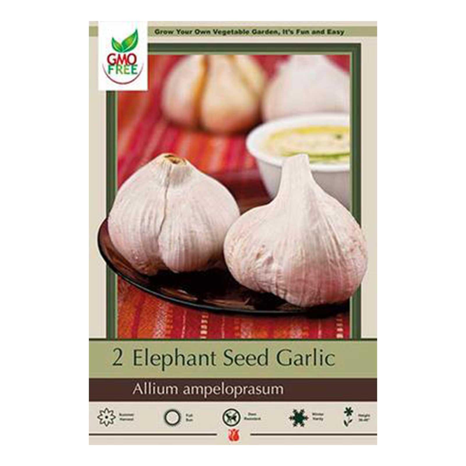 Garlic, Elephant Pkg of 1 Earl May