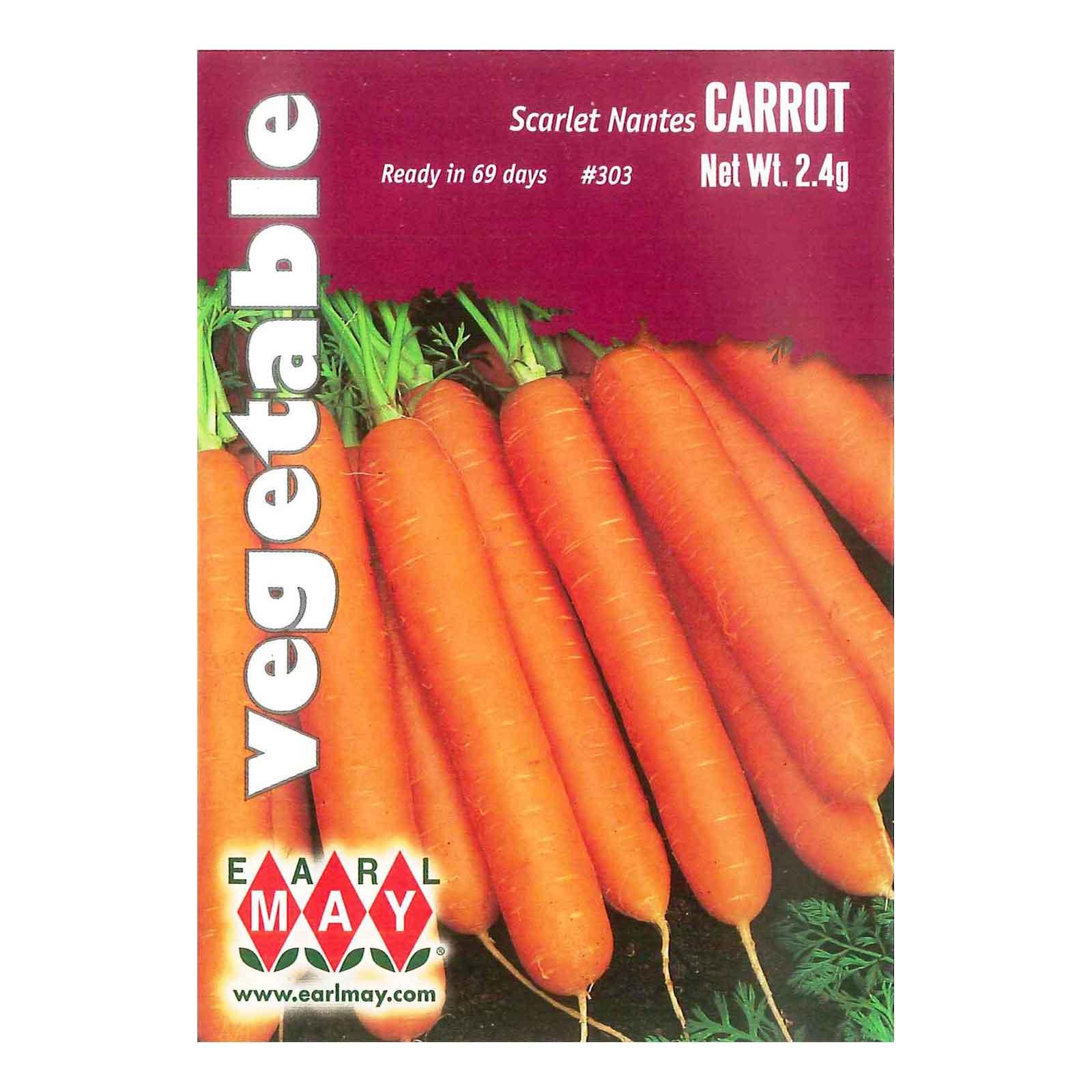 Carrot Carrot Seeds - Imperator 58 | Vegetable Seeds in Packets