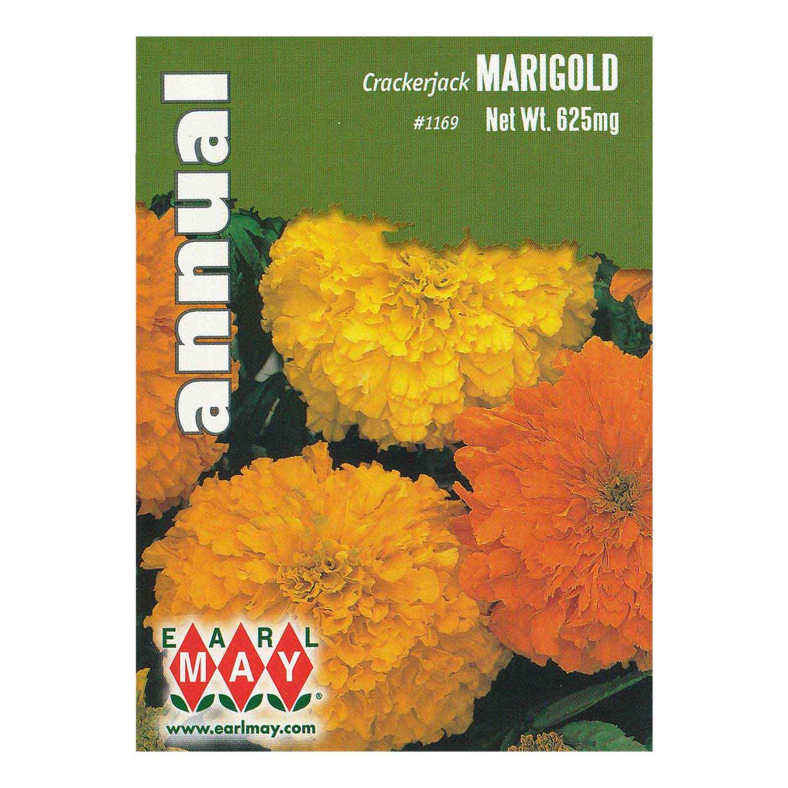 marigoldsさん専用２　1000 Marigold - Crackerjack Seeds | Earl May