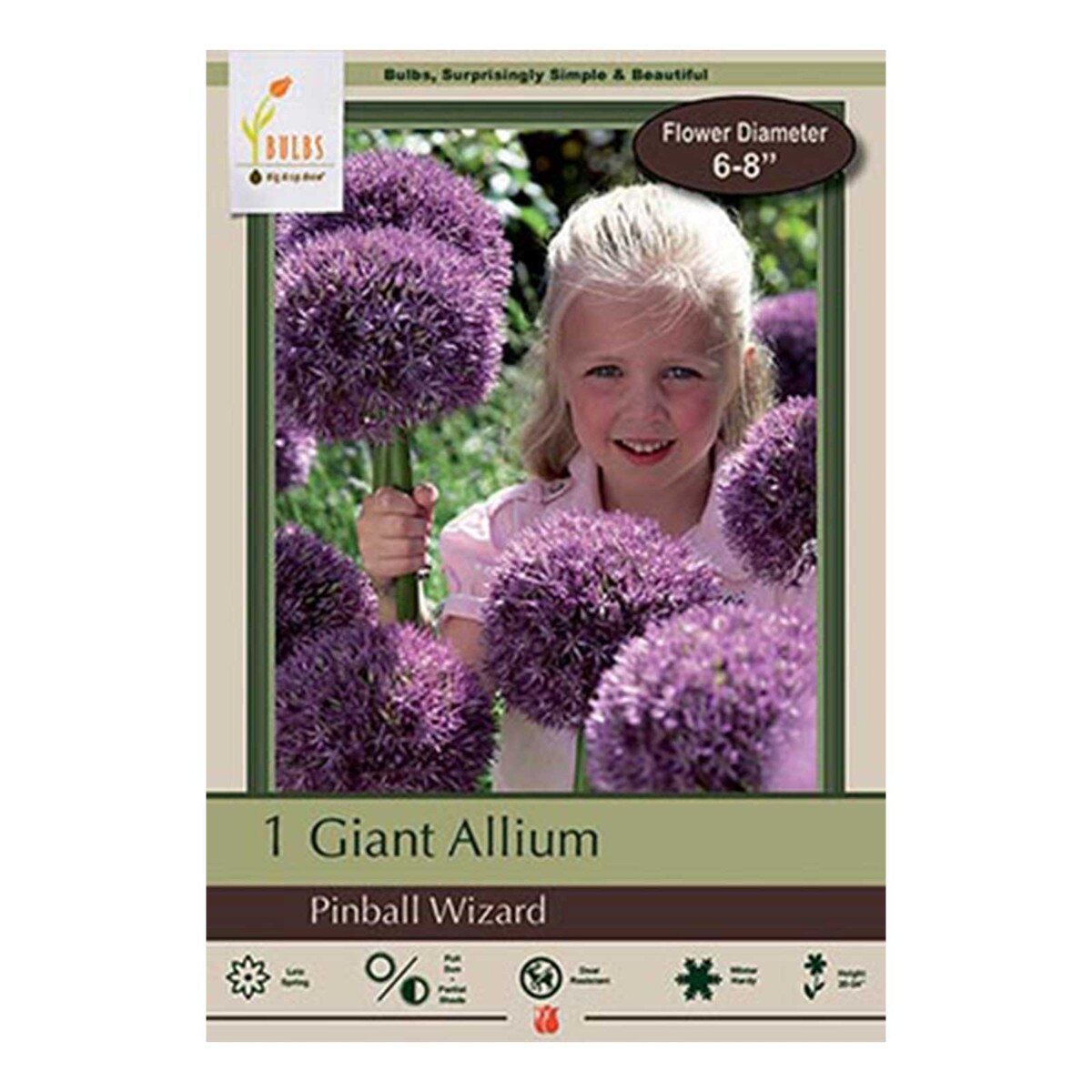 pinball wizard allium