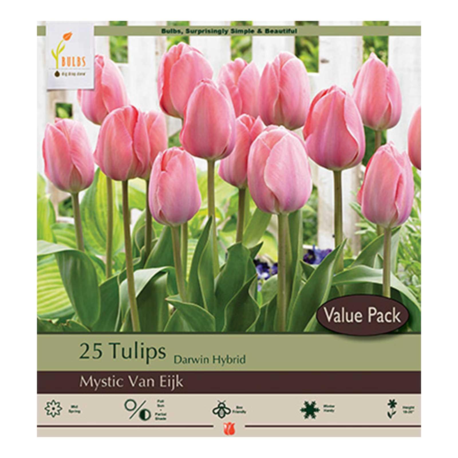 Tulip, Mystic Van Eijk Pkg of 25 | Earl May