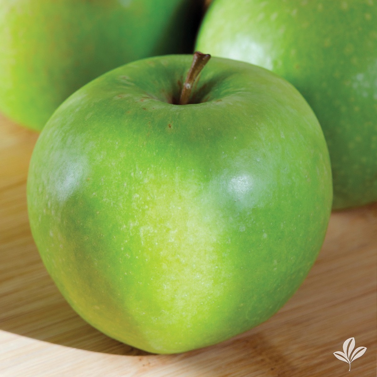 granny smith apple tree