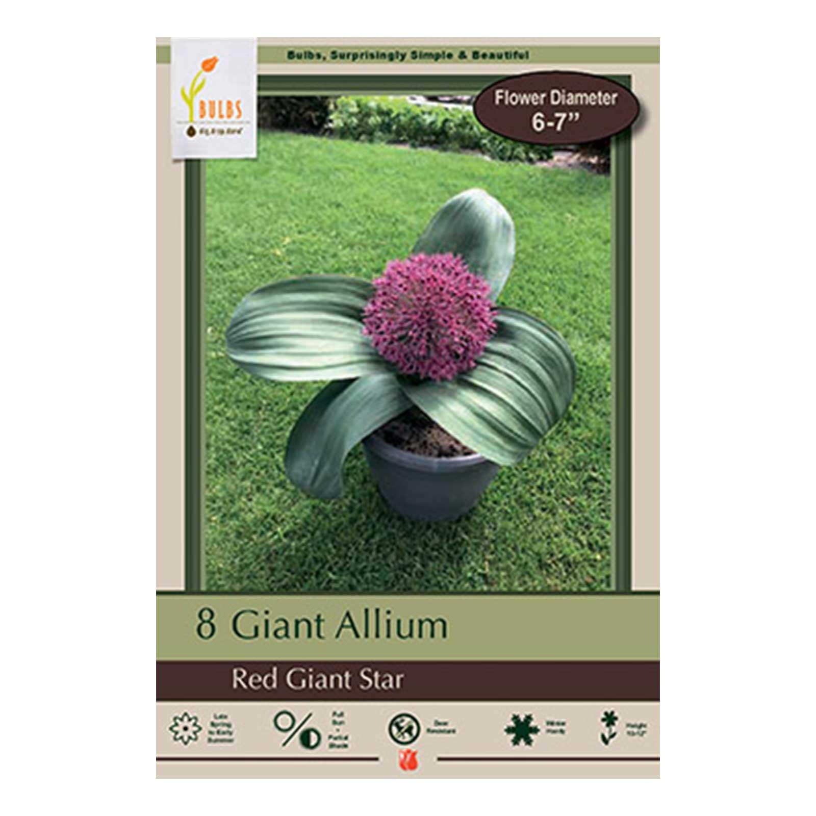 ［新品］SLOTHREAT Allium Longfield Gardens Allium | Costco