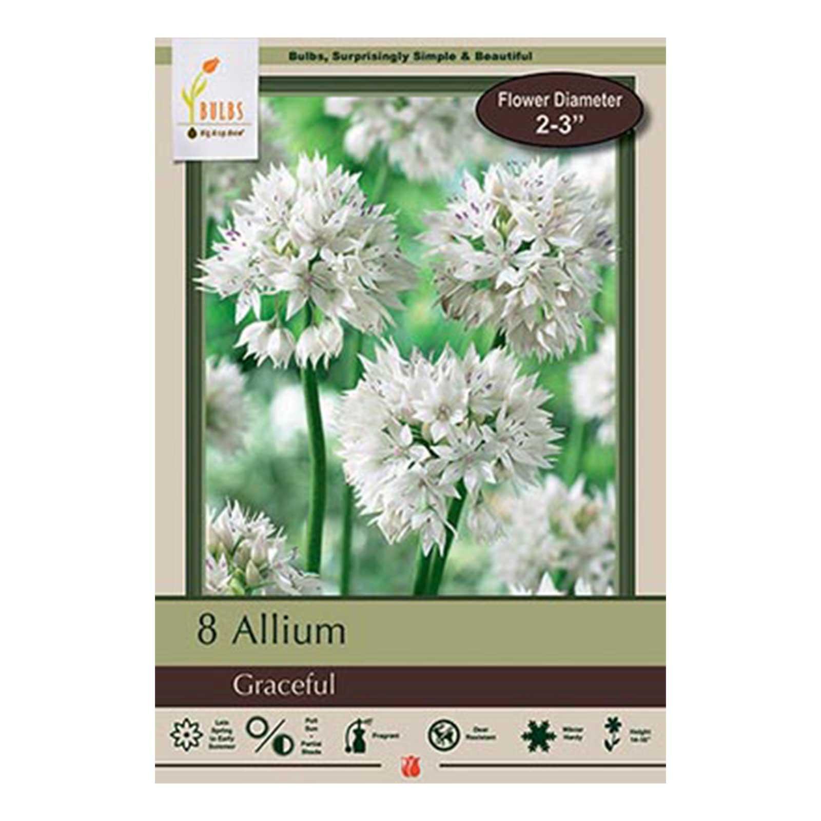 ［新品］SLOTHREAT Allium allsumb800.jpg