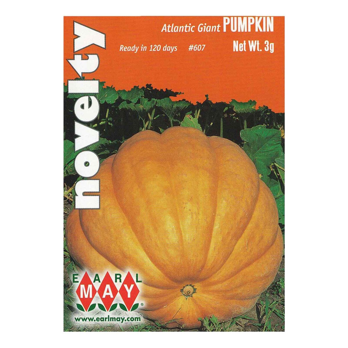 atlantic giant pumpkin seed