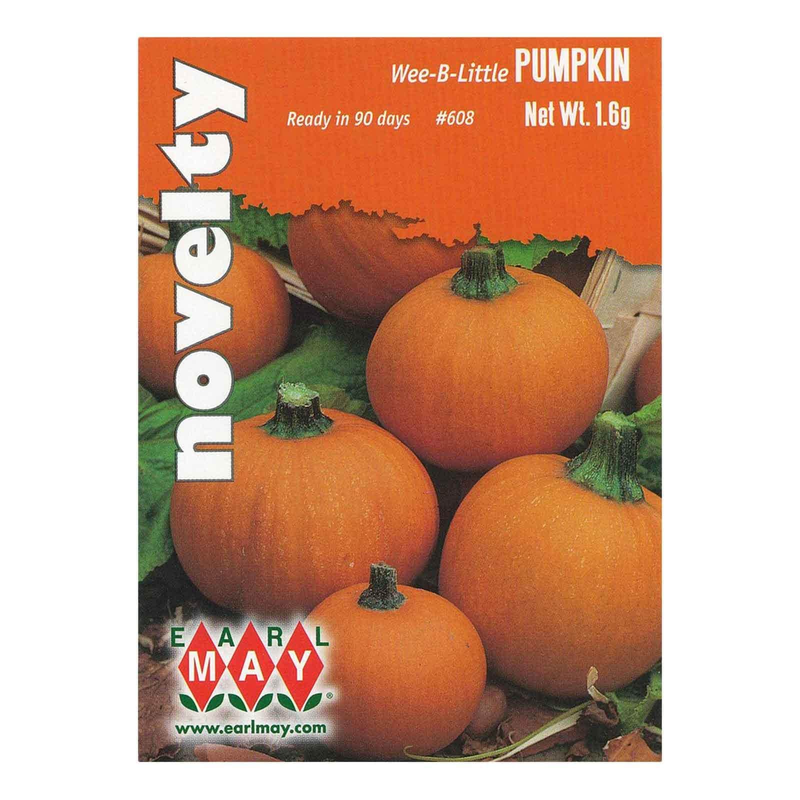 【WOOHWA】PUMKIN MINI SK Crunchkin Pumpkin (Farmore) | Seedway