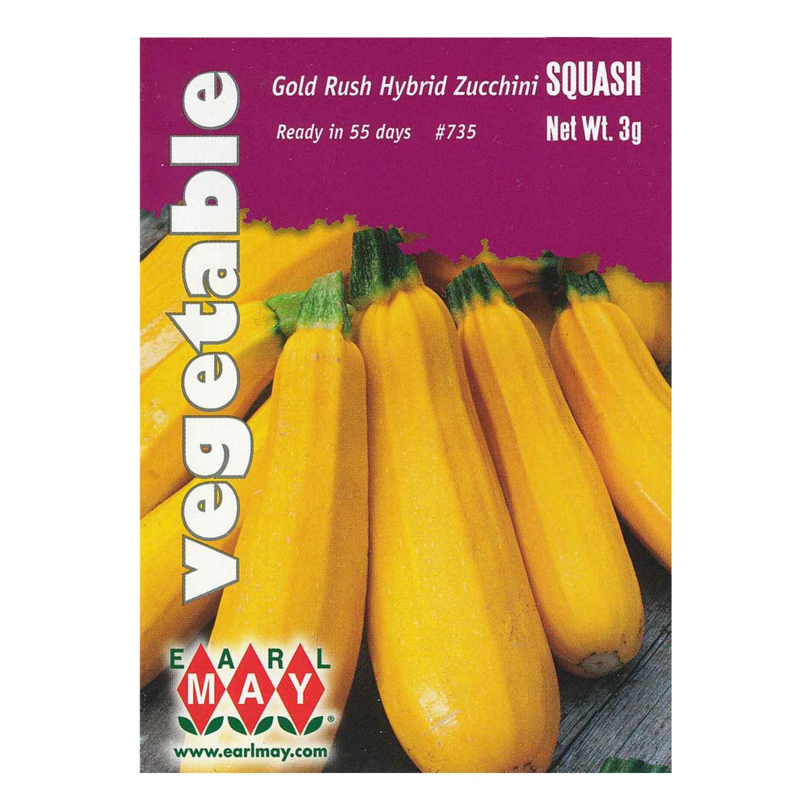 Squash - Gold Rush Hybrid Zucchini Seeds