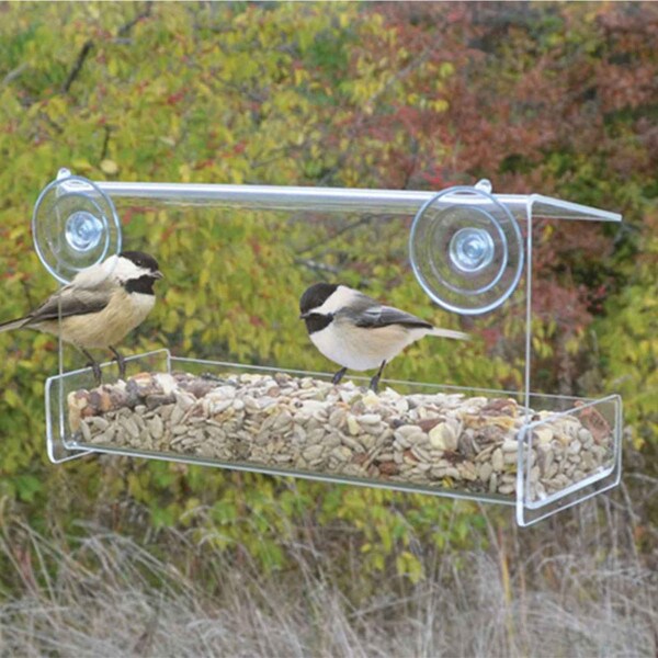 Clear View Bird Feeder