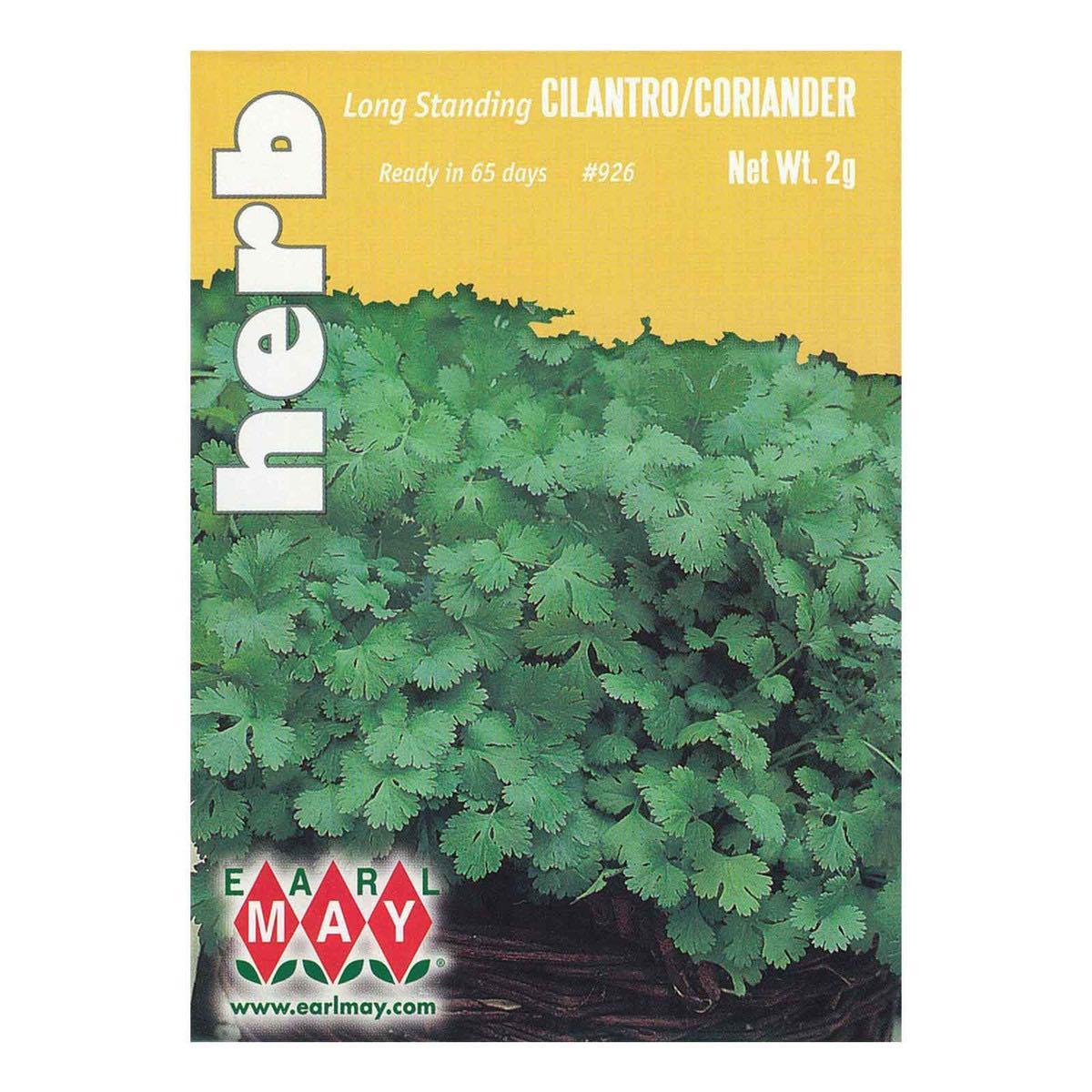 500+ Culantro Seeds - NGO GAI - Parsley Mexican Coriander