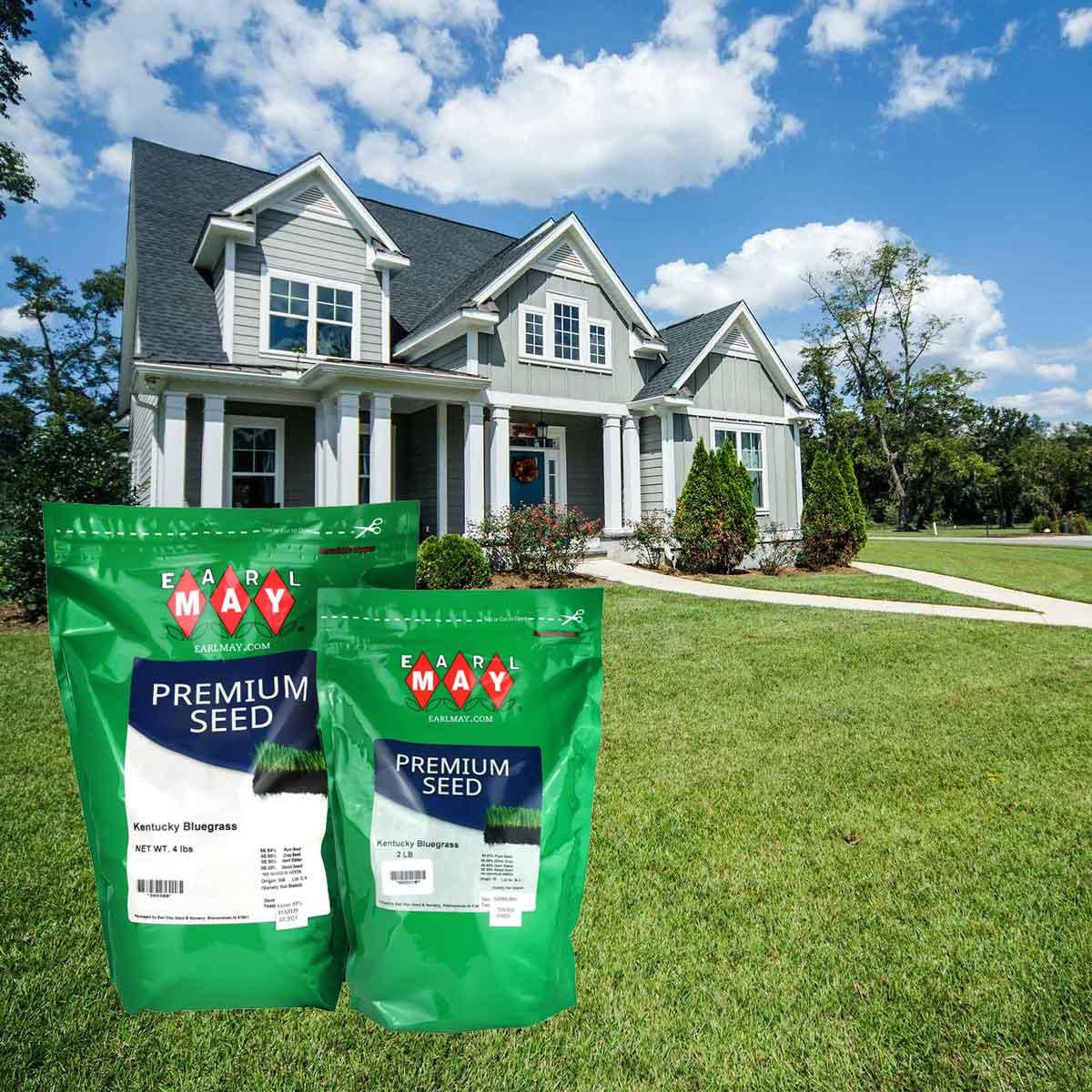 Kentucky Bluegrass Seed Earl May