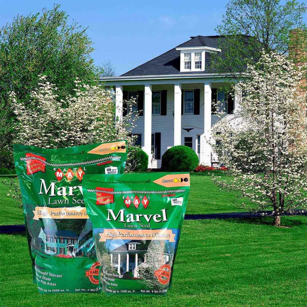 Earl May Marvel TurfType Tall Fescue Blend Grass Seed Earl May