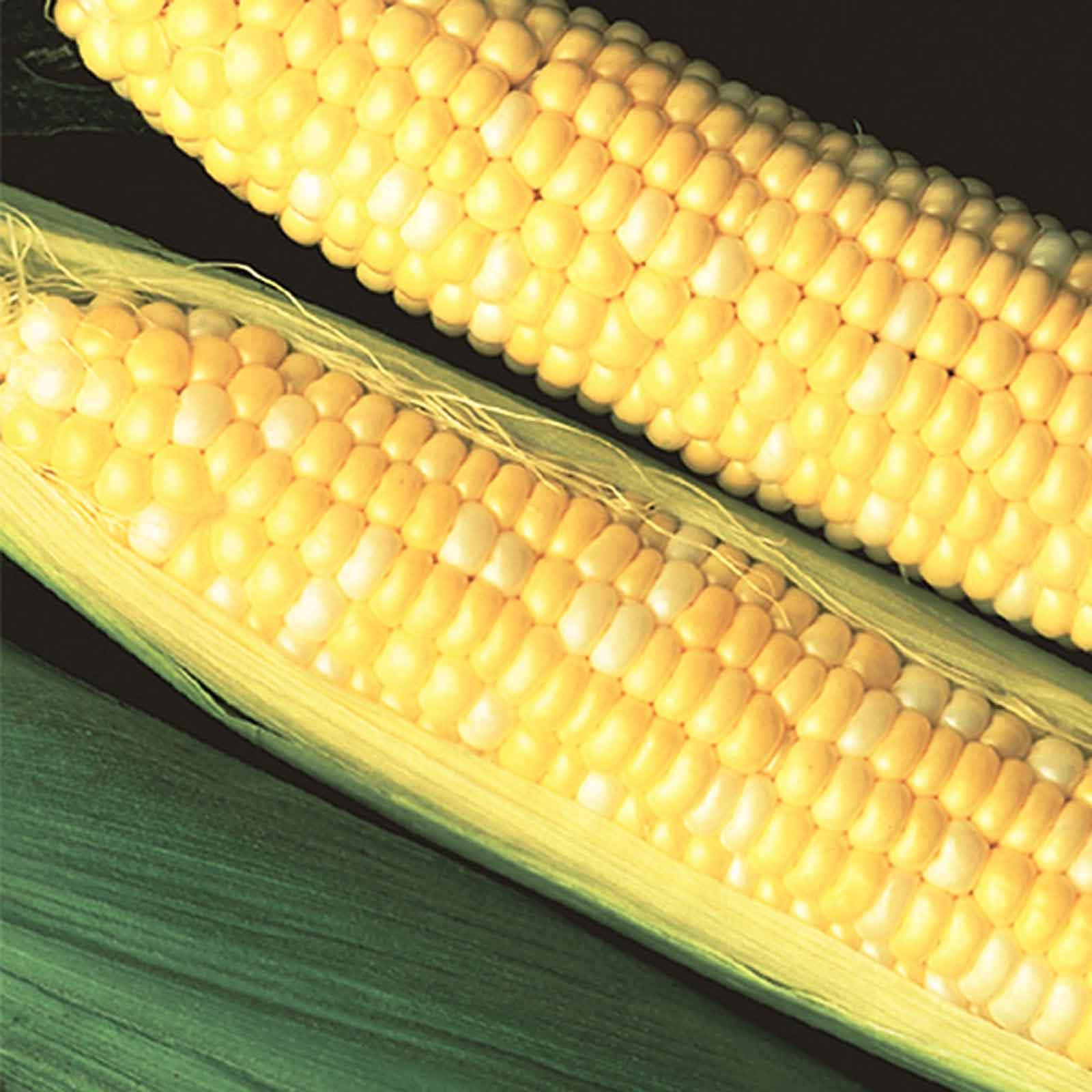 Temptation Ii Earl May